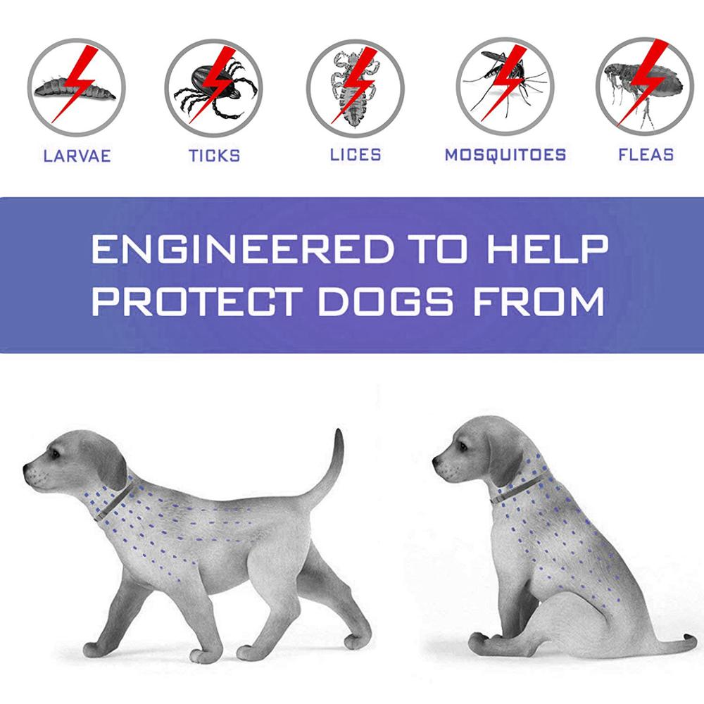 Anti Flea Ticks Insect Waterproof Long Lasting Dog Collar