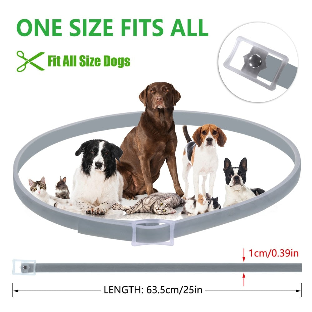 Anti Flea Ticks Insect Waterproof Long Lasting Dog Collar